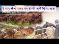 सबसे बड़ा 😱 फार्म साहीवाल नस्ल का || Largest Farm of Sahiwal cow Dairy Farm Farming Leader