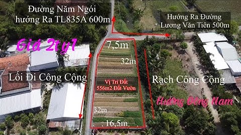 Bán 556m2 Đất Vườn Sổ Hồng Riêng Mặt Tiền Đường Năm Ngói Giá 2ty1 Ấp Thanh 3 Mỹ Lộc Cần Giuộc