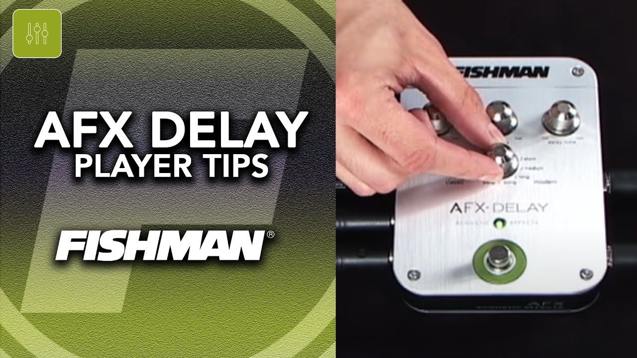 Fishman AFX Delay