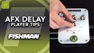 FISHMAN AFX DELAY ディレイ FISHMAN AFX ECHOBACK MINI DELAY PEDAL [PRO-AFX-DL2