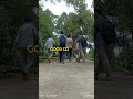 Sudden Tour at Kodala Tea Estate, Kodala #travel #friendship #nature #tea #teagarden