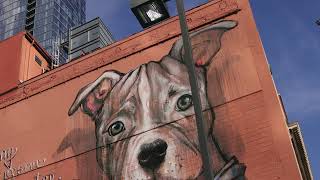 Telifsiz Manzara Videosu City Şehir City Video