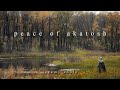 Jeremy Soule TES Oblivion Peace Of Akatosh Slowed Extended 80 Min 