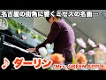 【ストリートピアノ】名古屋の街角に響くミセスの名曲… 栄ブロッサのENSCHUピアノで「ダーリン(Mrs. GREEN APPLE)」を弾いてみた。