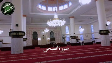 سورة الضحى ليالي رمضان 1436 هجري