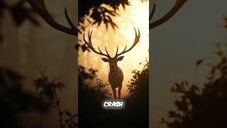 This One Mistake Cost Me the Biggest Buck Ever #HuntingStories #DeerHunting #Failed