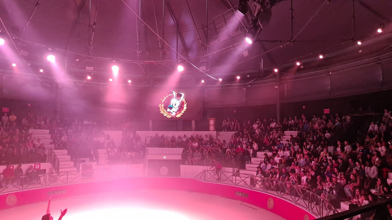 [PARC ASTÉRIX/4K] GAULOIS ROMAIN LE MATCH, UN BIGBANG EST SUR LE POINT DE SE LANCER ! A VOIR/REVOIR