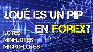 Qué son los Pips y los Lotes en Forex (mini lotes y micro lotes) | Winpips