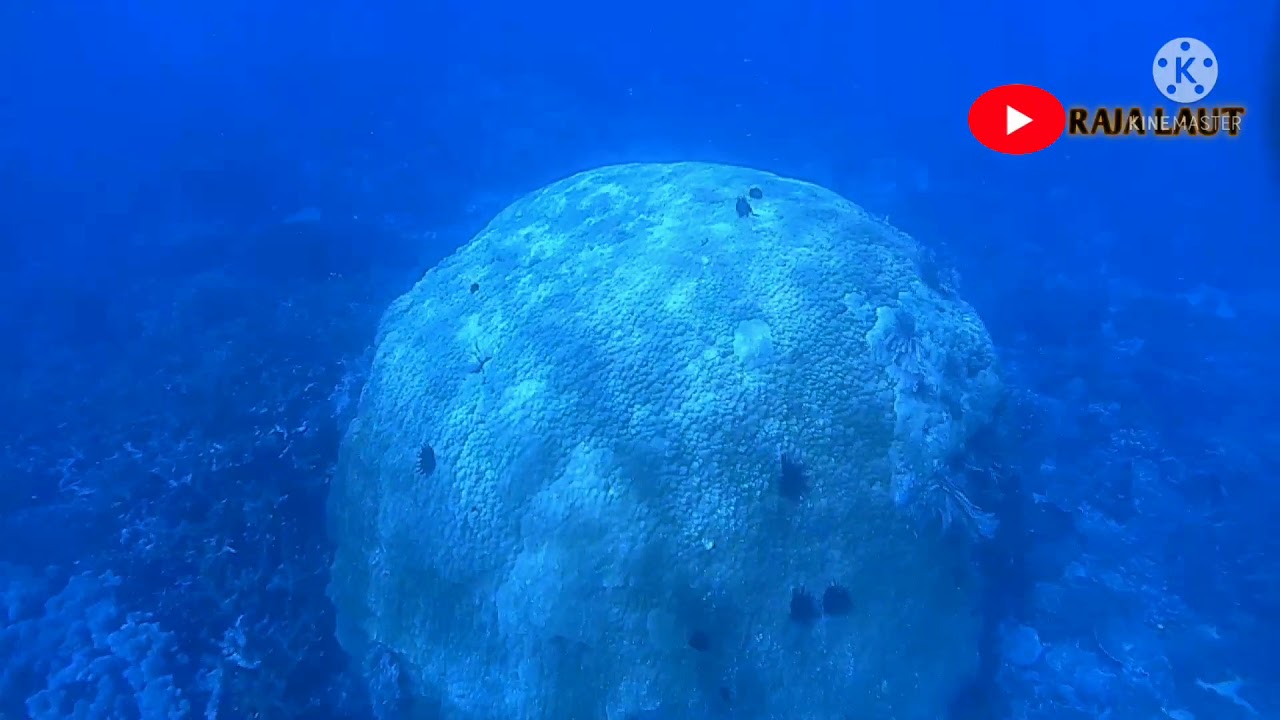 Keindahan laut Pulau Gorom