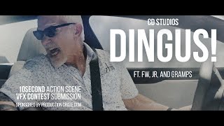 Dingus! | 10sec VFX Contest Entry