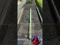 Genius Garden Hack! 🍅💦 DIY Pool Noodle Sprinkler