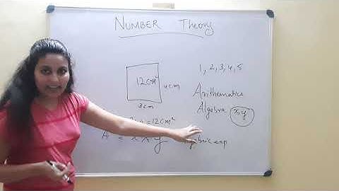 UNCHANGING RELATIONS - NUMBER THEORY Part 01 [Class-VII/ Kerala Syllabus/ Mathematics/ Chapter-3]