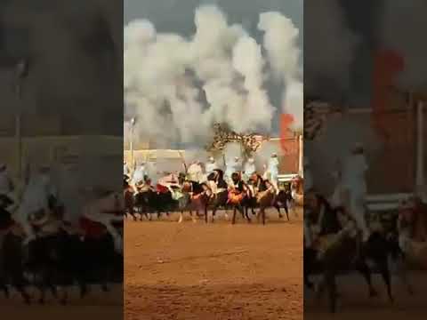 الله الله الماصة من موسم سيدي المختار السباعي