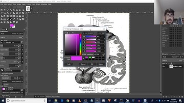 How to Fix Paint Brush Color Not Working in GIMP 2.10