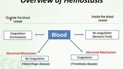 Hematology 2-1_Introduction to Hemostasis