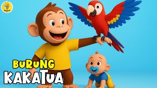 Download Lagu Lagu Anak Anak - BURUNG KAKAKTUA - Lagu Anak \u0026 Balita Paling Viral Terbaru 2025 MP3