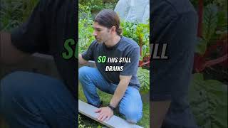 A Bog Garden? Yes Heres How We Made One