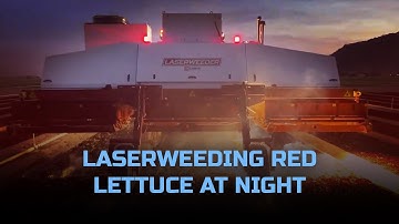 LaserWeeding Red Lettuce at Night