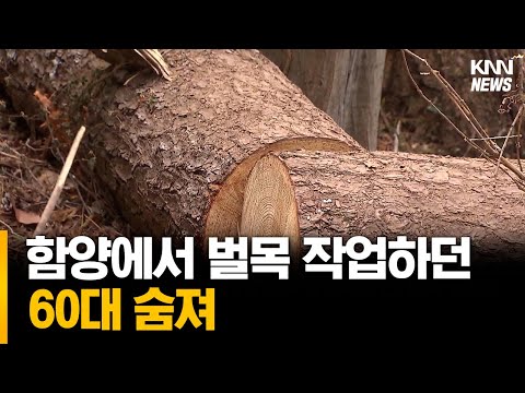 함양에서 벌목 <strong>작업하던</strong> 60대 숨져