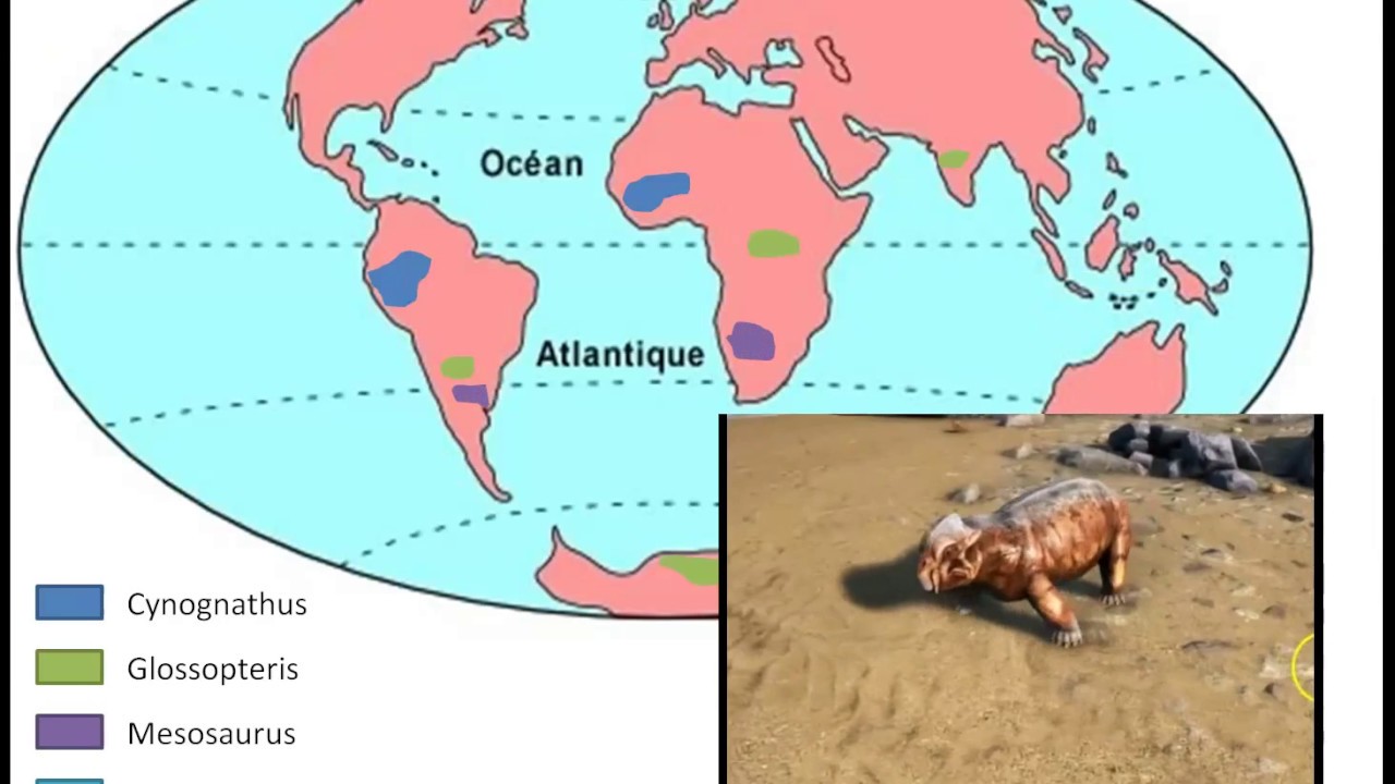 Alfred Wegener dérive des continents 1S SVT YouTube — free download
