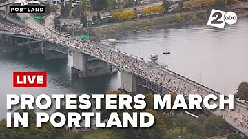 WATCH | Aerial view of protesters marching in Portland for 