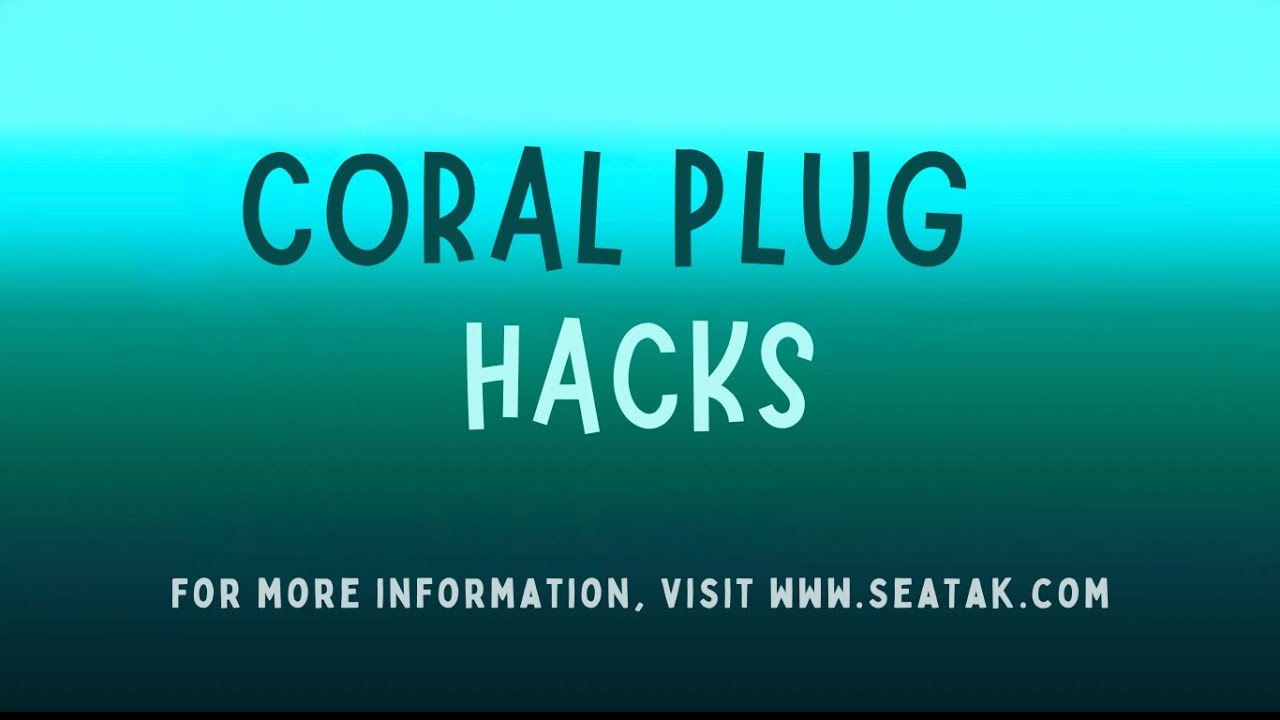 Coral Plug Hacks - Seatak