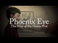 Phoenix eye striking  the way of the hakka fist