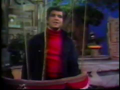 Dusty's Treehouse clip