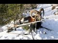 Muffelwidderjagd im Gebirge _ Chasse au Mouflon _ Alpine Mouflon Hunt