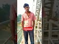 Aawarwa Mere Kaya Nat Car