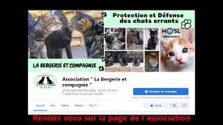 Faire un don de produits Royal Canin depuis chez soi pour l&#39;Association La Bergerie et compagnie ?