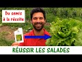 Russir la culture des salades  du semis  la rcolte