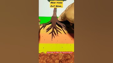 Layers Of Soil Model