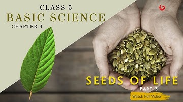 CLASS 5 /BASIC SCIENCE / CHAPTER 4/ seeds of life /Part 3/class5/#newsyllabus#scert
