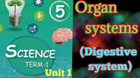 Organ systems/ 5th standard/ science/ unit 1/ (Digestive system)/ term 1/ Samacheer kalvi