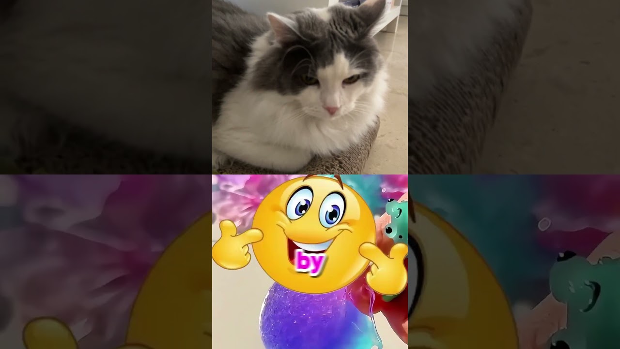 The REAL Reason Cats Choose Their Owners (Loki's Story) 💭