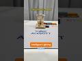 Smart lights that turn on automatically #smarthome #esp32 #hack