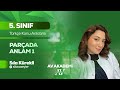Av Yayınları | 5. Sınıf Türkçe Konu Anlatımı | Parçada Anlam 1