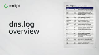DNS log overview