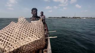 Fishing Palk Bay - Trailer