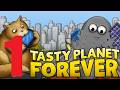 UN GATO GORDO XD | Tasty Planet Forever #1