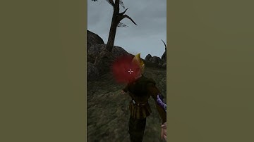 Killing the adoring fan in Morrowind every day until Skywind and Skyblivion are released Day - 670