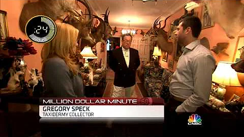 Wild Animals Hang Out in Ritzy NYC Home