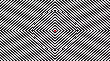 THIS OPTICAL ILLUSION MAKES YOU FEEL HIGH?!