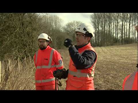 Burrowing badgers causing