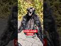 Wild Animals Zoos Can't Protect! 😱