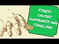 ANXIETY causes NUMBNESS and TINGLING sensations - But why? Explained!