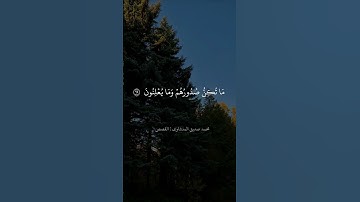 محمد صديق المنشاوي سورة القصص #quran #حالات_واتس #explore #قران