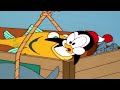 Chilly Willy Full Episodes 🐧Mexican Chilly 🐧Kids Movie | Videos for Kids