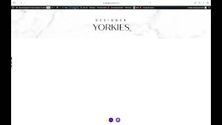 Restoring a divi wordpress page to a previous version